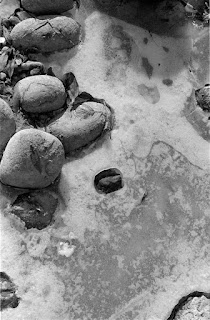 Ice and Rocks - Minolta SRT303 - Rokkor 50/1.7