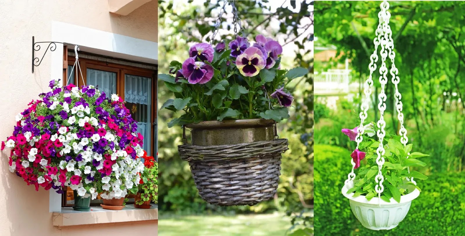 50+ Hias Gantung Tanaman Hias Indoor Teras Images