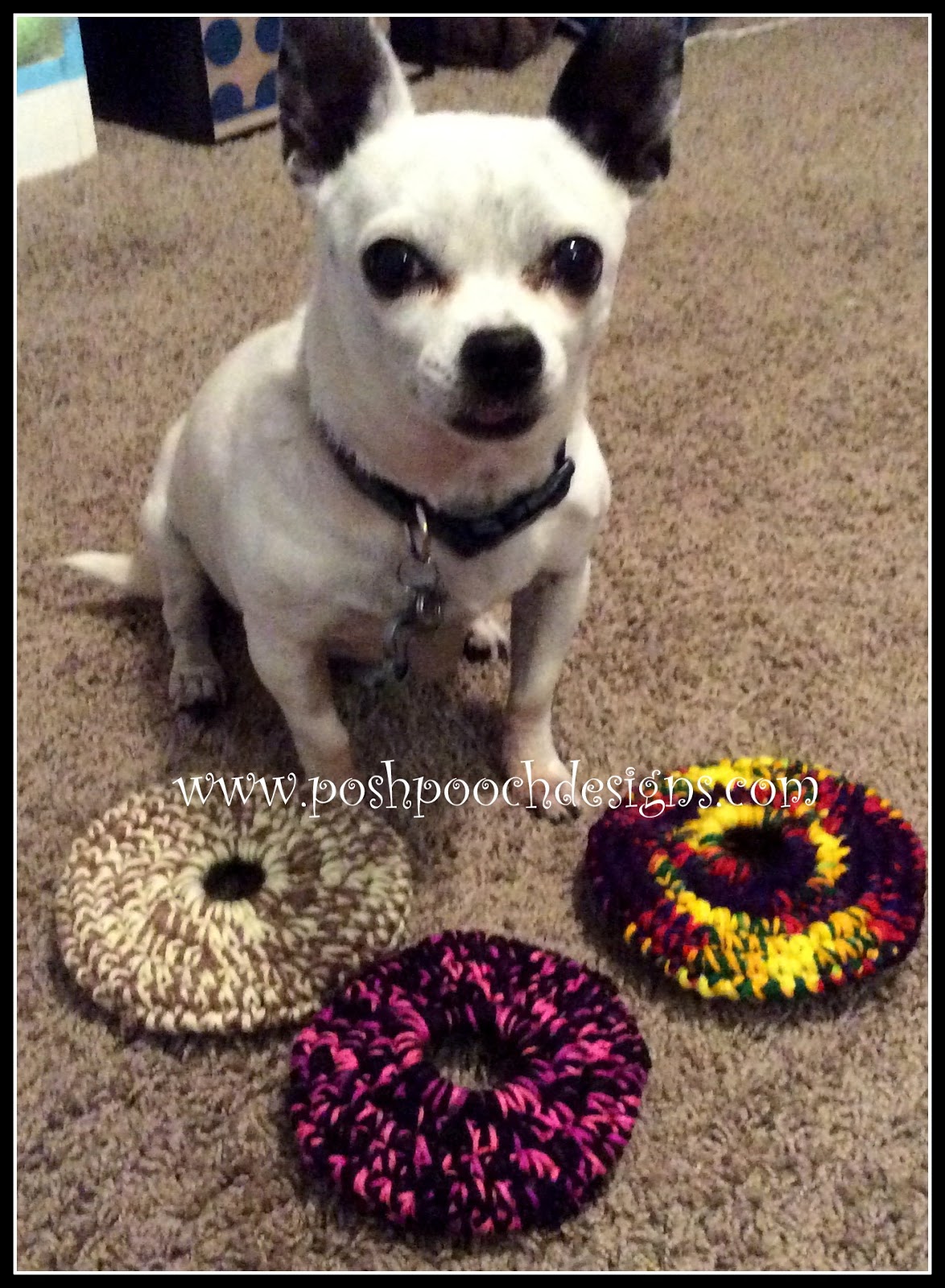 Posh Pooch Designs Dog Clothes Frisbee Dog Toy Crochet Pattern