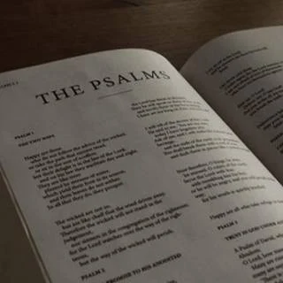 Libro de los Salmos