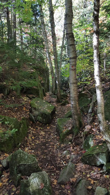Sentier en direction du Sommet dans la forêt Ouareau