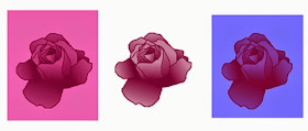 Rosen mit verschiedenen Hintergründen