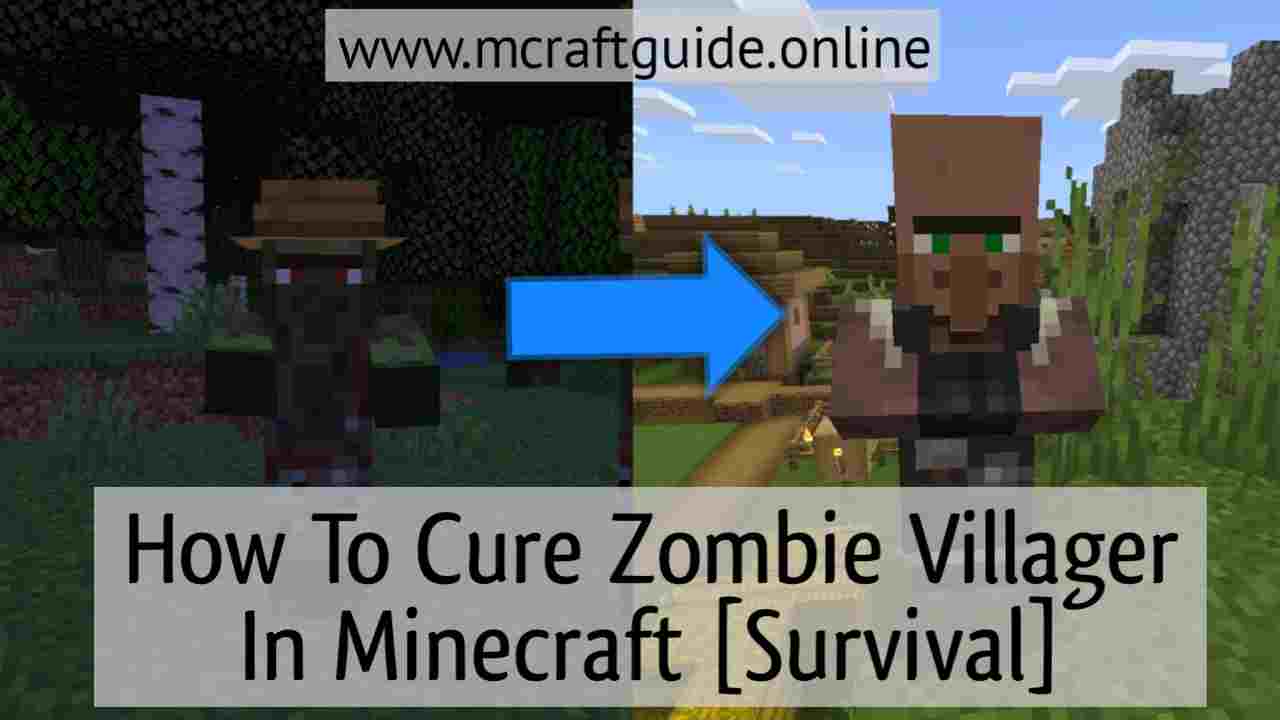 How To Turn Zombie Villagers Into Villagers zzxozbsfkb.blogspot.com
