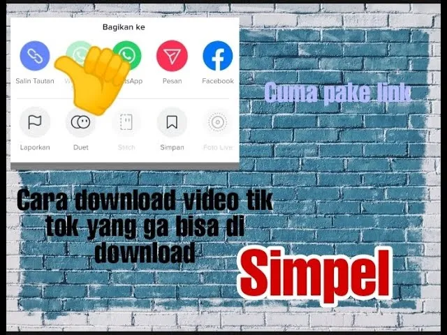 Cara Download Video Tiktok yang Tidak Bisa Didownload