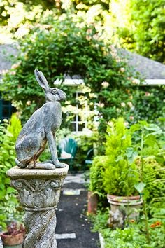 FOCAL POINT STYLING: Spring Bunnies, Rabbits & Hares in the Garden