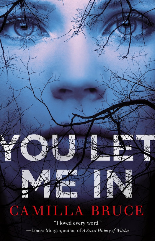 2020 Debut Author Challenge - April Debuts