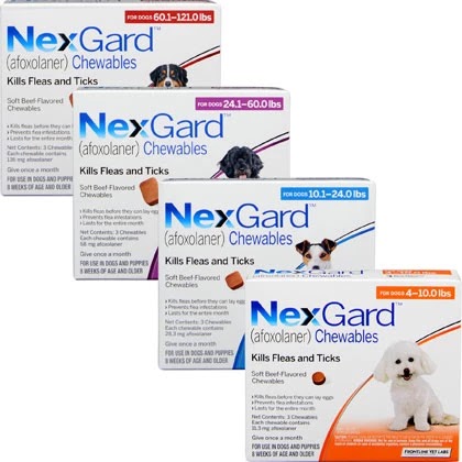 nexgard flea and tick prevention