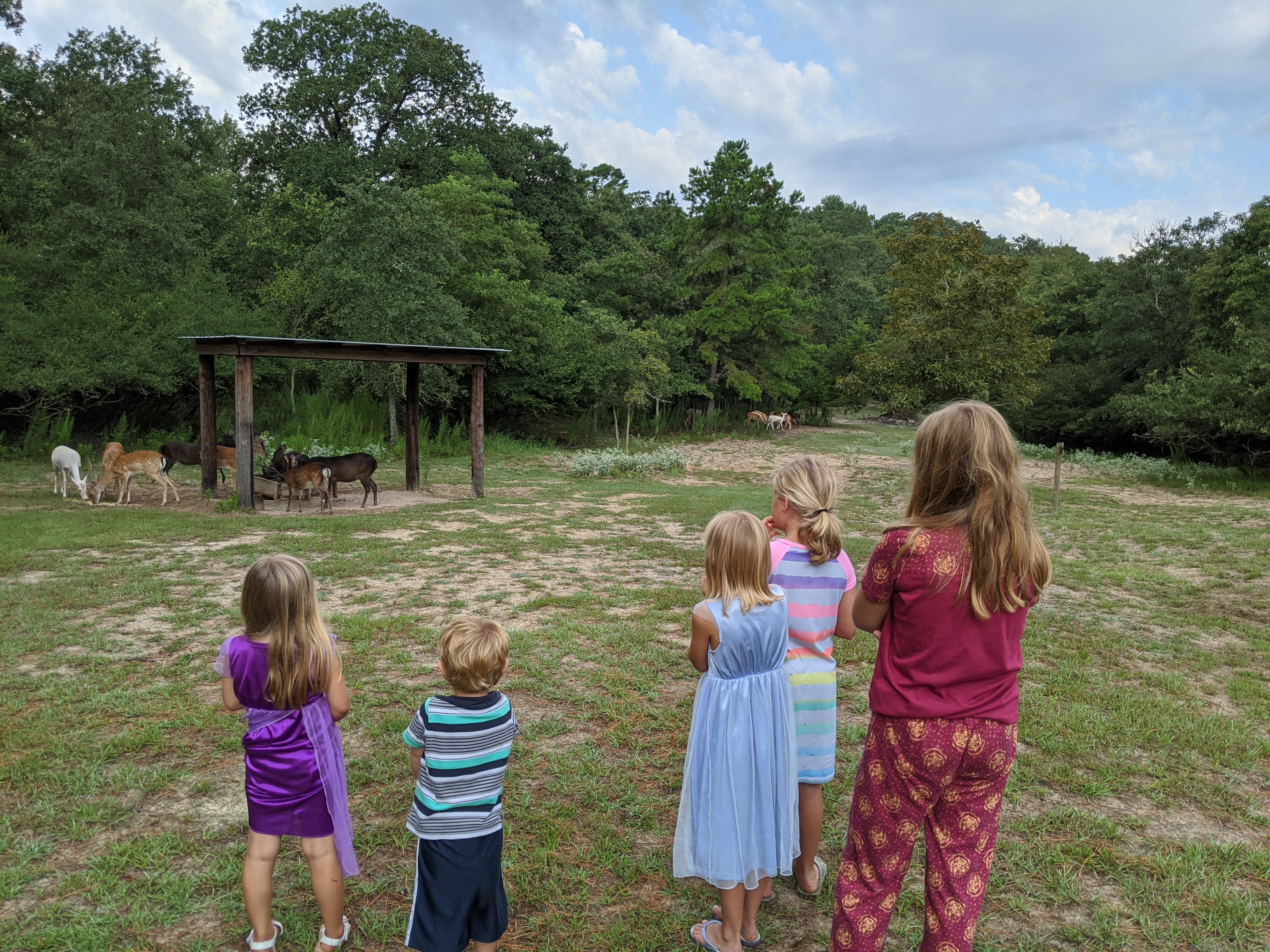 The Williams Family Camp Tonkawa Springs