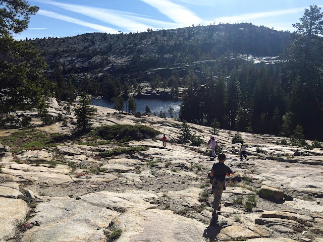 Campsite by Shealor Lake