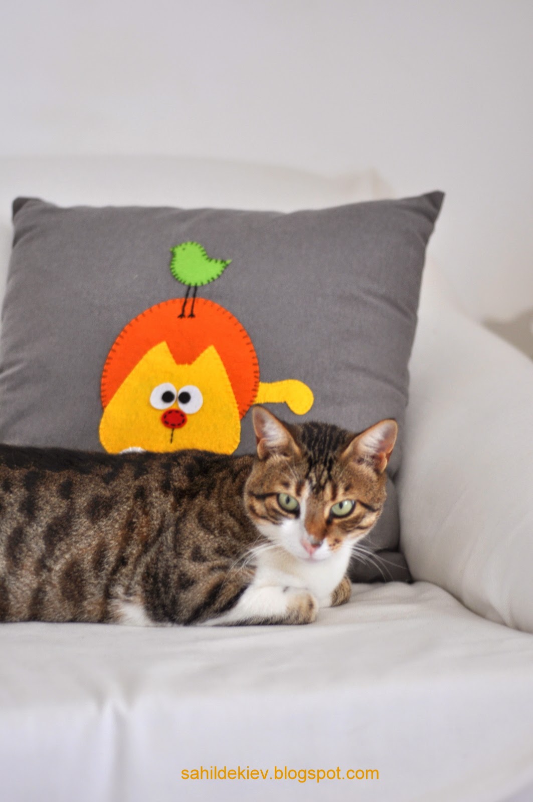 Sahildeki Ev Kedili Yastık..