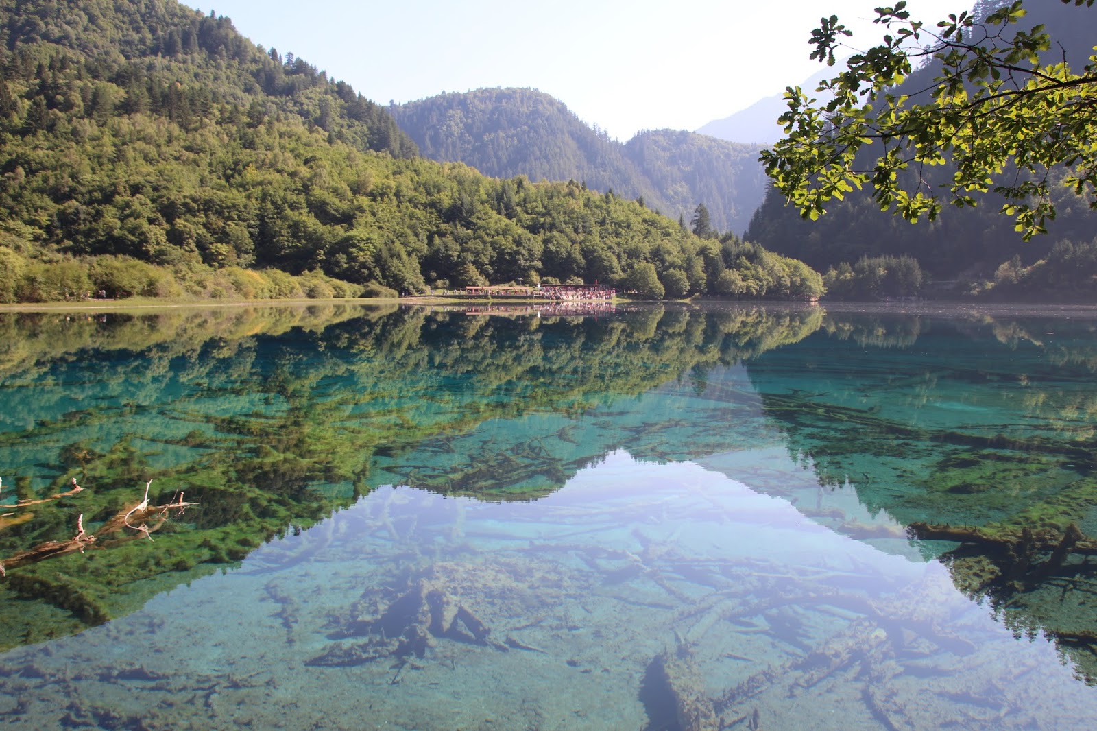 逐鐵行路 中國 四川阿壩九寨溝