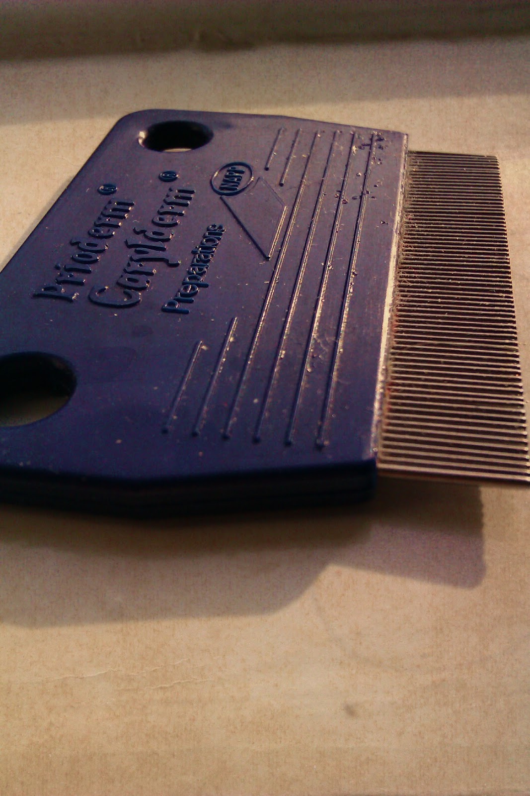 Creating Paper Dreams Storytelling Sunday The story of the royal nits