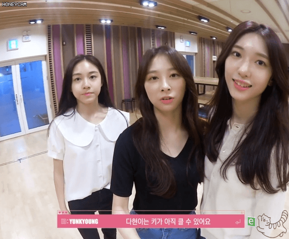 로켓펀치 데뷔 전날까지