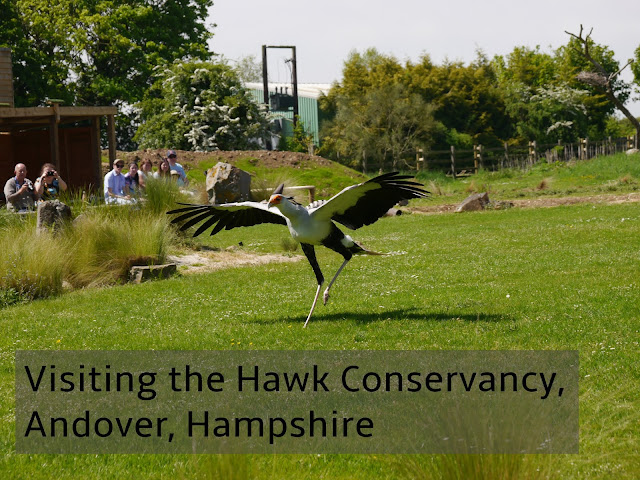The Hawk Conservancy Trust near Andover is a great day out for all the family and Feathers Restaurant is worth a visit too