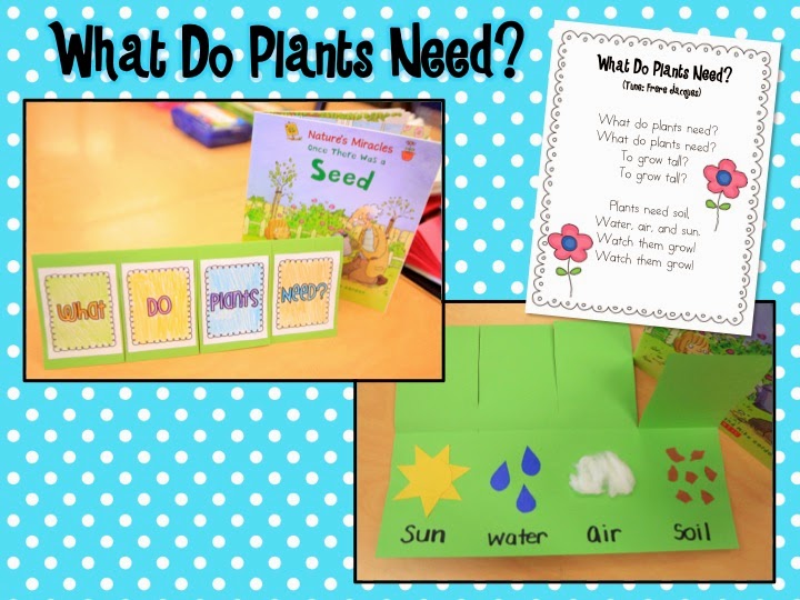 Mrs. Ricca's Kindergarten Growing a KinderGarden Plants Unit {Freebies!}