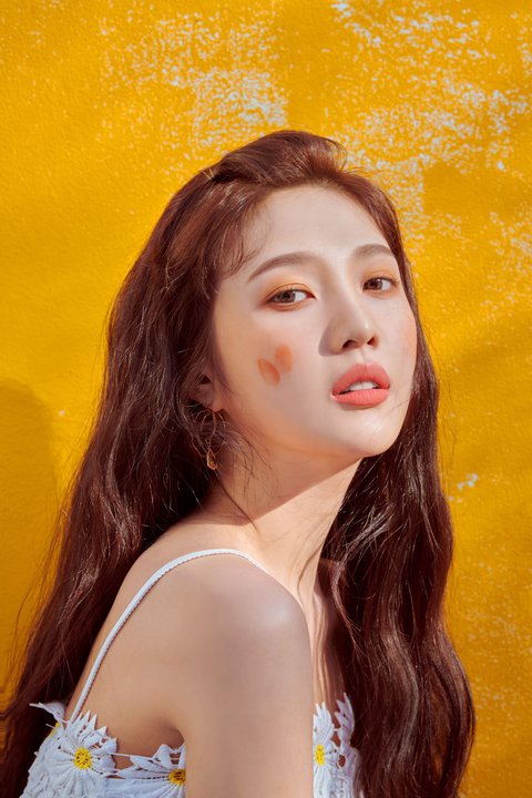 BLACKPINK dan Red Velvet Disebut Grup dengan Member Populer yang Merata, Begini Tanggapan Netizen 5 download%2B%25289%2529