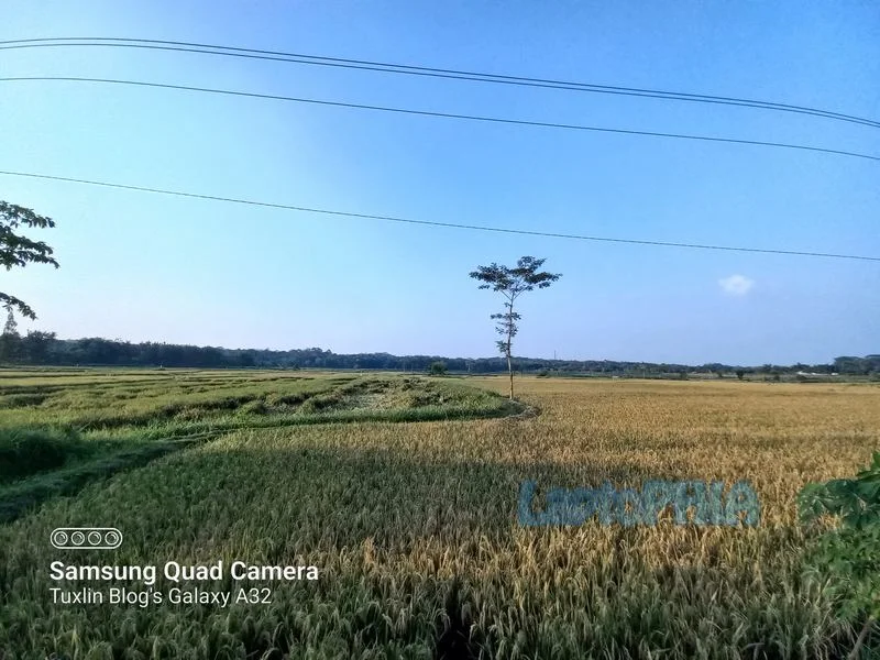 Hasil Foto Kamera Ultra Wide Angle Samsung Galaxy A32