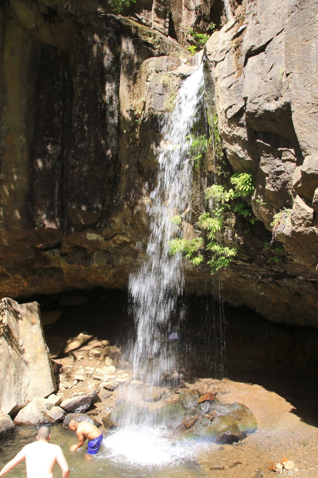 Travels with Twinkles Dunsmuir, California