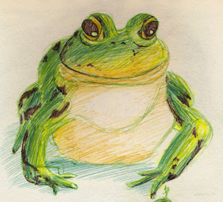 illustration grenouille stylo bille