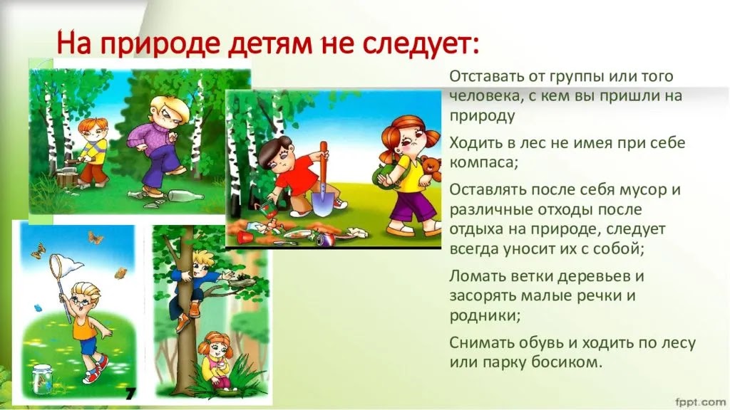 Правила поведения в природе 5 класс биология с рисунками