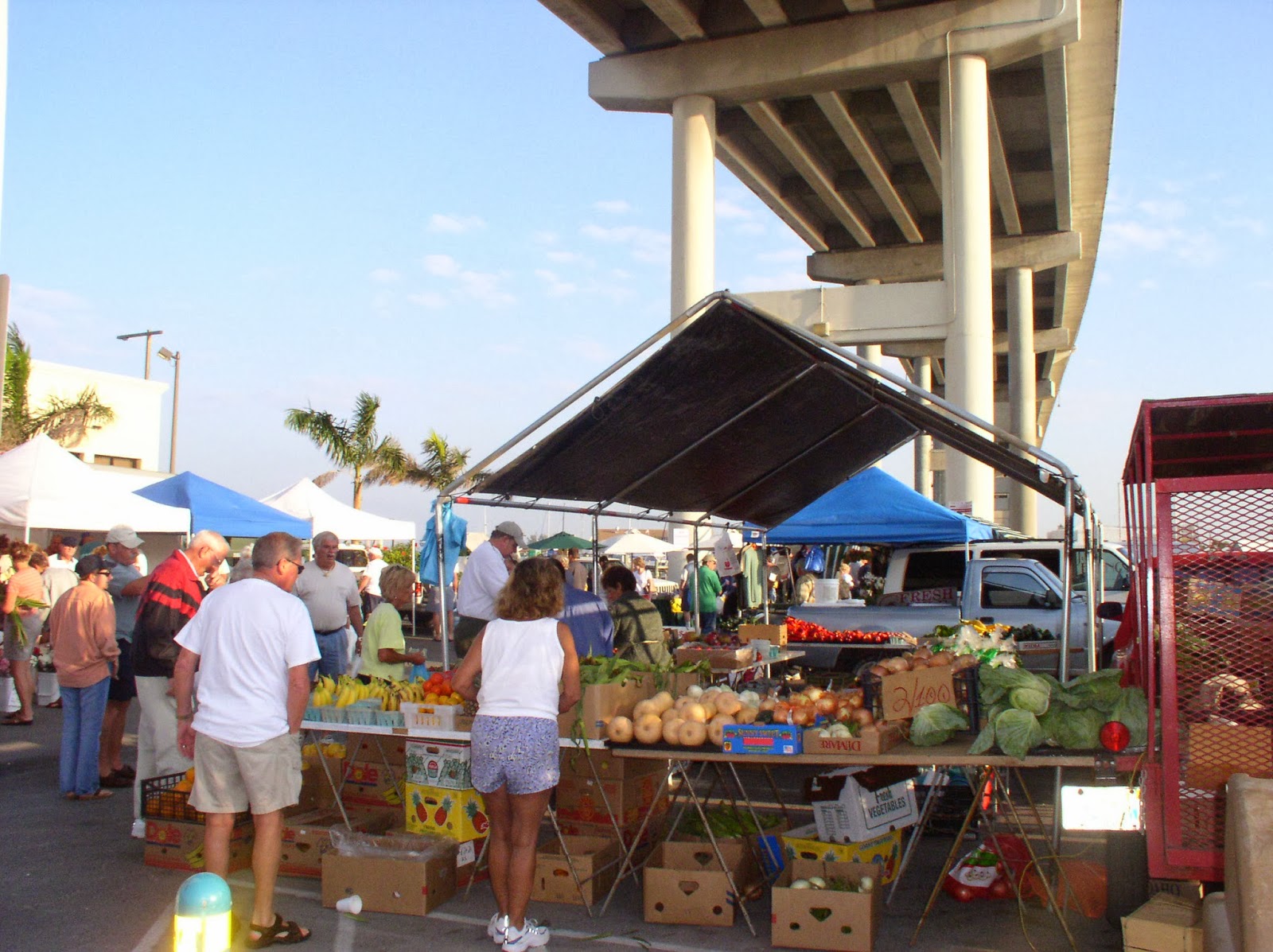My Fort Myers Beach, My Florida I. Fort Myers Beach in Photos
