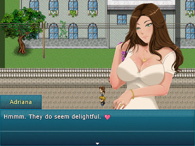 Fleeting Iris Game Screenshot 2