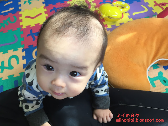 赤ちゃん 髪の毛 推移 生後０日 生後７ヶ月