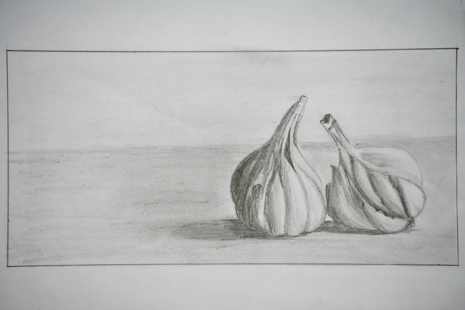 Still Life Drawing Garlic Digital Portfolio