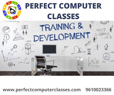Training and development | Perfect computer classes