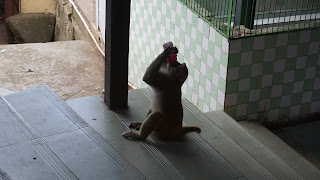 DSC07096.JPG