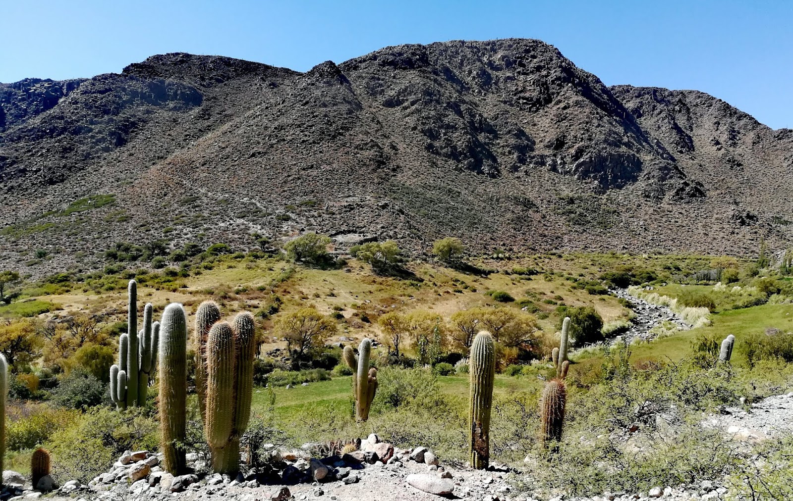 VIAJERO RODANTE San Carlos, SALTA