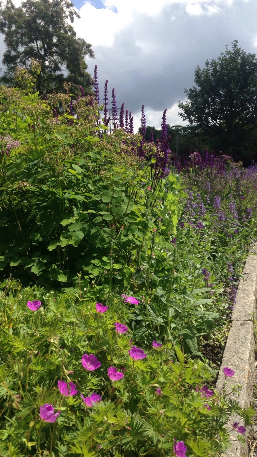 Trädgårdsspan Utflykt till Stora Skuggans 4Hgård