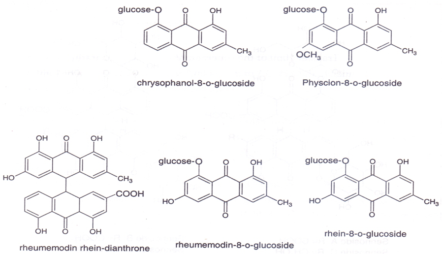 To study the Macroscopical and Microscopical and Extraction of Senna