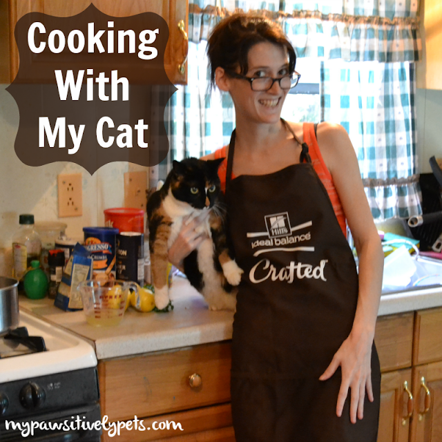 Cooking Quinoa With My Cat InspiredByCrafted Pawsitively Pets
