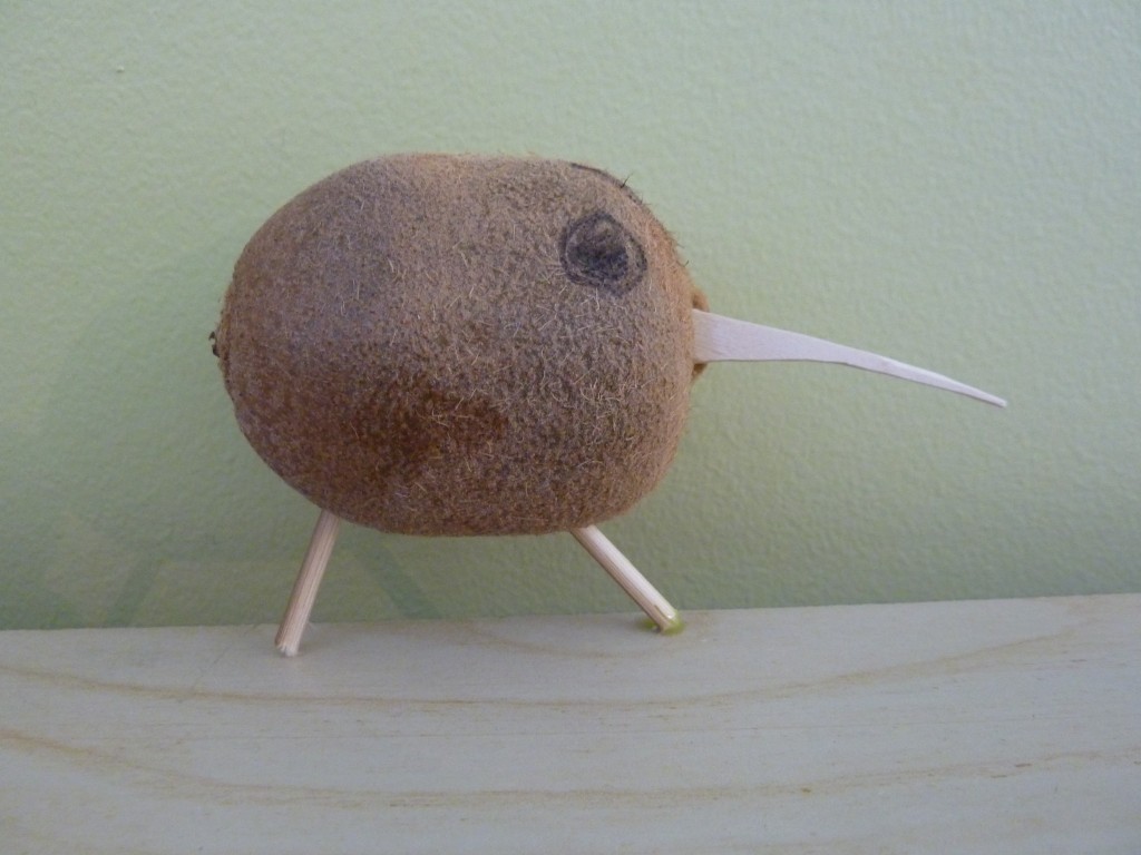 kiwi indian for sale