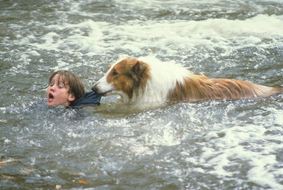 Lassie 1994 Movie Image 10