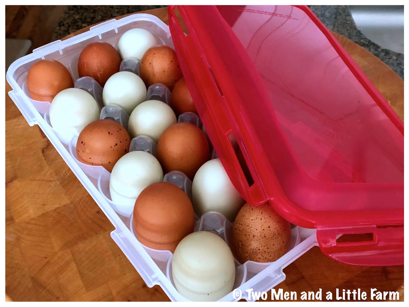 Two Men and a Little Farm NEST FRESH EGGS BRAND