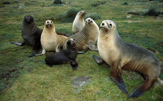 Seals
