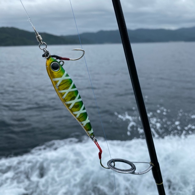 ジギング 2021年 岩手大船渡スーパーライトジギング スイッチライダー30g