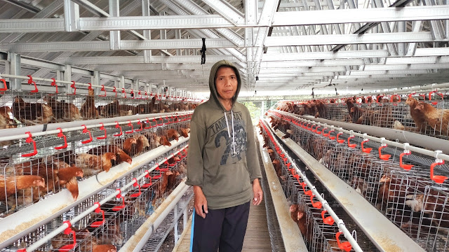 Wakil Ketua DPRD Lombok Timur sumbang kandang ayam untuk Yayasan Yatim Piatu
