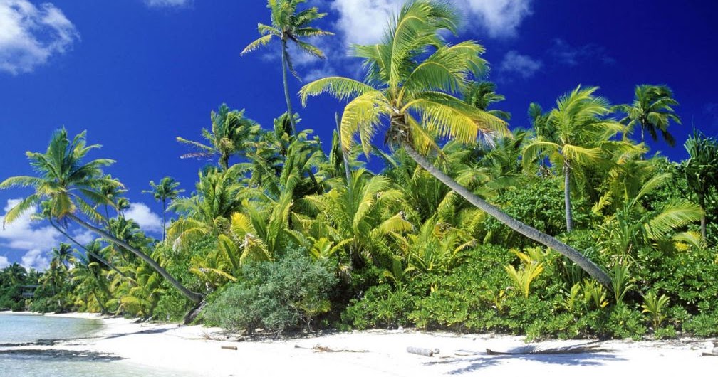 Lirik Lagu Rayuan Pulau Kelapa Beserta Penjelasan Singkatnya - Kumpulan