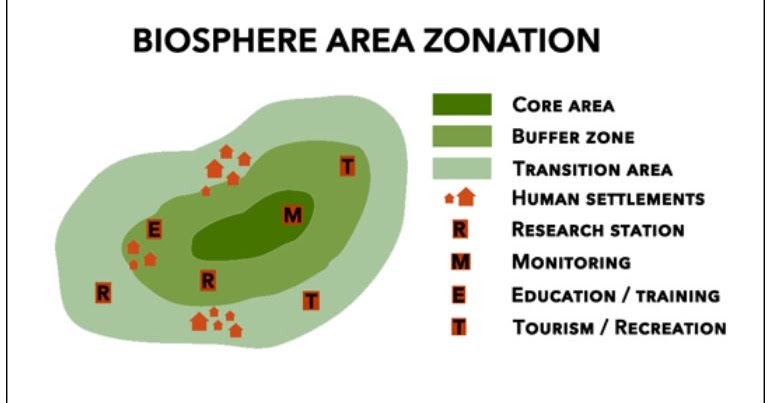 Буферная зона россии. Схема биосферного заповедника. Зоны биосферного резервата. Структура заповедника. Зонирование биосферного заповедника.