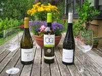 Wein-Deko, Internationaler Weinhandel, drei Weißweine aus Portugal