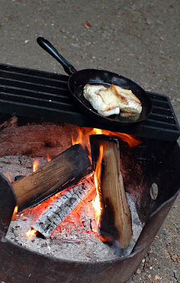 Fresh fish on the campfire.