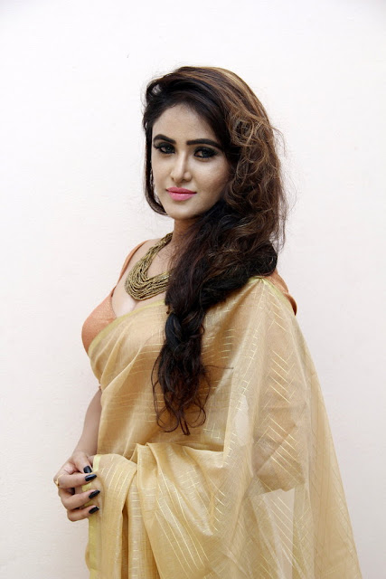 Telugu Hot Actress Sony Charishta latest Photos In Golden Brown Saree and Blouse Exposing Cleavage Actress Trend