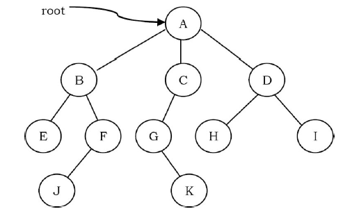 Basic Tree Terminologies