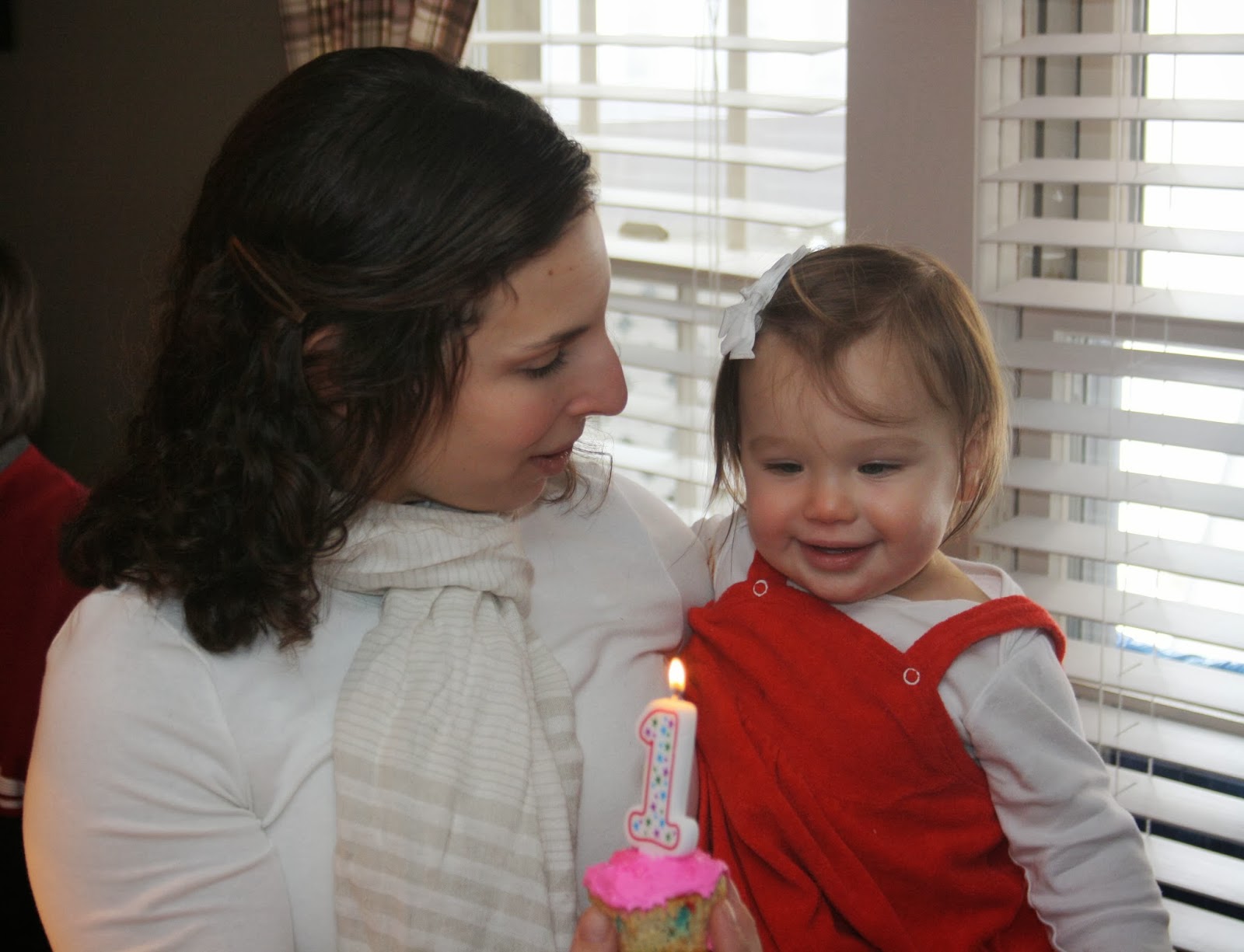 The Bedrest Chronicles Charlotte Eve ONE YEAR OLD