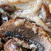 Stuffed Mushroom Casserole