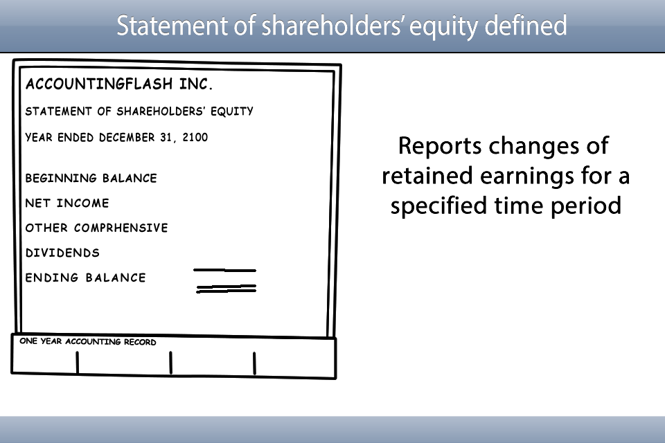 Shareholders Equity Statement