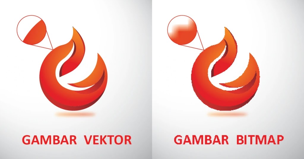 9 Efek Perbedaan Vector Dan Bitmap Beserta Contohnya Templatekita Com